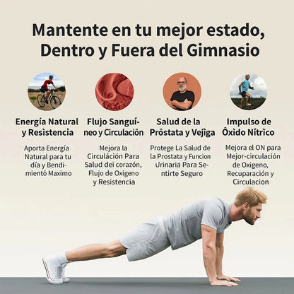 Óxido Nítrico: Activa tu Flujo Sanguíneo y tu Potencial